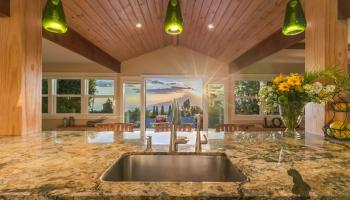 10  Palena Pl , Kula/Ulupalakua/Kanaio home - photo 2 of 50