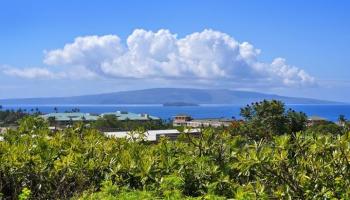 Wailea Ekolu condo # 105, Kihei, Hawaii - photo 3 of 34