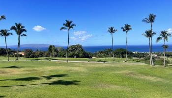 Wailea Ekolu condo # 1504, Kihei, Hawaii - photo 4 of 22