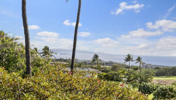 Wailea Ekolu condo # 902, Kihei, Hawaii - photo 1 of 30