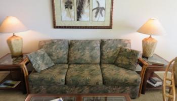 Lauloa condo # 109, Wailuku, Hawaii - photo 4 of 30