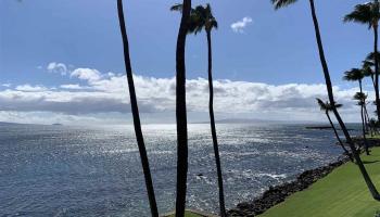 Lauloa condo # 209, Wailuku, Hawaii - photo 3 of 16