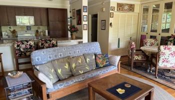 Paniolo Hale condo # L1, Maunaloa, Hawaii - photo 4 of 17