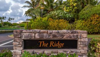 Kapalua Ridge condo # 1223,24, Lahaina, Hawaii - photo 3 of 49