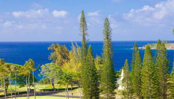Kapalua Ridge condo # 723, Lahaina, Hawaii - photo 1 of 48