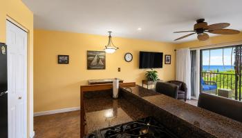Molokai Shores condo # 223B, Kaunakakai, Hawaii - photo 6 of 30