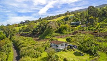 1000  Middle Rd , Kula/Ulupalakua/Kanaio home - photo 5 of 32