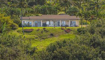 1004  Honokala Rd Huelo, Haiku home - photo 3 of 48