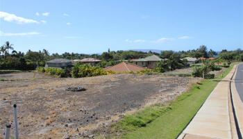 101 Hoolapa St 4 Kihei, Hi vacant land for sale - photo 4 of 5
