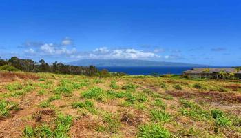 101 Keoawa Pl Honolua Ridge I, # 4 Lahaina, Hi vacant land for sale - photo 6 of 30