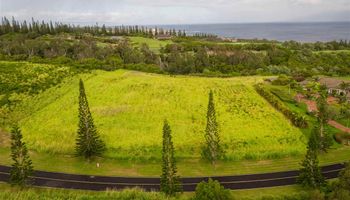 101 Keoawa St Lot 4 Lahaina, Hi vacant land for sale - photo 3 of 4