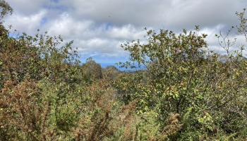 1020 Piiholo Rd  Makawao, Hi vacant land for sale - photo 1 of 2