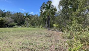 1020 Piiholo Rd Makawao, Hi 96768 vacant land - photo 2 of 2 1020 Piiholo Rd Makawao, Hi 96768 vacant land - photo 2 of 2