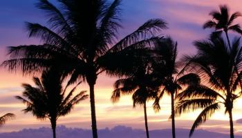 Maui Sunset condo # B-310, Kihei, Hawaii - photo 2 of 2