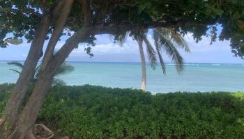 10464  Kamehameha V Hwy Waialua, Molokai home - photo 3 of 10