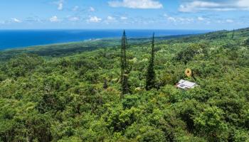 105  Hana Hwy ,  home - photo 1 of 40