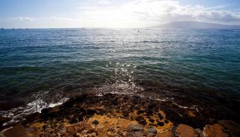 1051  Front St , Lahaina home - photo 6 of 30