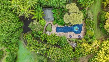 1055  Kaupakalua Rd , Haiku home - photo 4 of 46