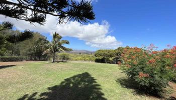 1060  Mamalu La'i Pl , Molokai home - photo 3 of 27