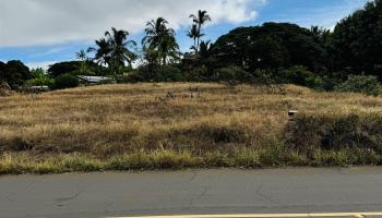 1063 Kupulau Dr  Kihei, Hi vacant land for sale - photo 6 of 18