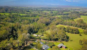 1065  Piiholo Rd Olinda/makawao, Makawao/Olinda/Haliimaile home - photo 3 of 30