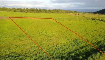 1078 Auwaha Pl Lot 16 Haiku, Hi vacant land for sale - photo 2 of 5