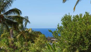 109  Kulolio St , Haiku home - photo 3 of 46