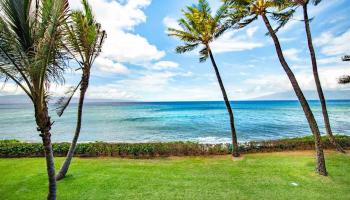 Mahana condo # 204, Lahaina, Hawaii - photo 2 of 30