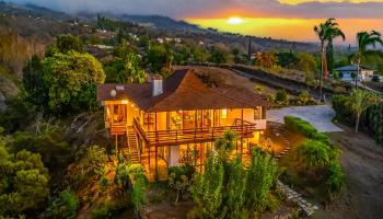 110  Kamehameiki Rd Kula,  home - photo 1 of 50