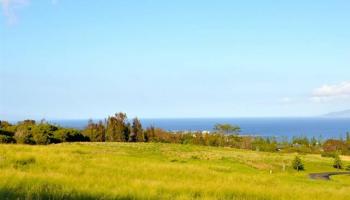 110 Keoawa St Lot 15 Lahaina, Hi vacant land for sale - photo 2 of 17