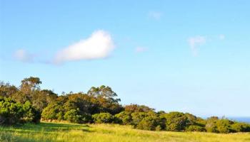 110 Keoawa St Lot 15 Lahaina, Hi vacant land for sale - photo 5 of 17