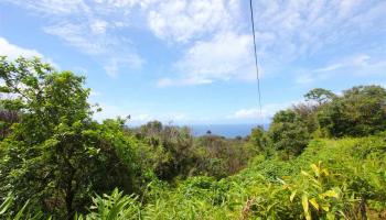 110 Nahiku Rd , Hi vacant land for sale - photo 2 of 16 110 Nahiku Rd , Hi vacant land for sale - photo 2 of 16