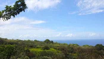 110 Nahiku Rd  , Hi vacant land for sale - photo 4 of 16