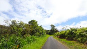 110 Nahiku Rd , Hi vacant land for sale - photo 5 of 16 110 Nahiku Rd , Hi vacant land for sale - photo 5 of 16