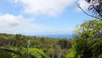 110 Nahiku Rd , Hi vacant land for sale - photo 6 of 16
