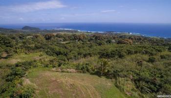 110 Waiho'i Rd Hana, Hi 96713 vacant land - photo 1 of 9 110 Waiho'i Rd Hana, Hi 96713 vacant land - photo 1 of 9
