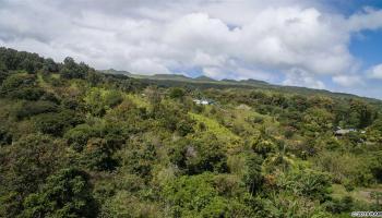 110 Waiho'i Rd Hana, Hi 96713 vacant land - photo 5 of 9