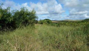 1104 Kalua Koi Rd 24 Kaunakakai, Hi vacant land for sale - photo 6 of 6