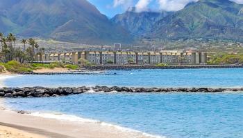 Harbor Lights condo # A310, Kahului, Hawaii - photo 1 of 24