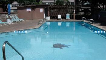 Harbor Lights condo # A403, Kahului, Hawaii - photo 4 of 5