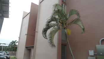 Harbor Lights condo # D226, Kahului, Hawaii - photo 5 of 16