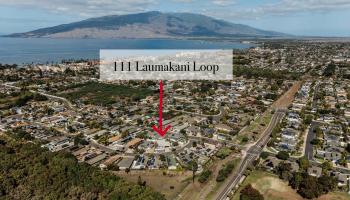 111  Laumakani Loop Meadowlands, Kihei home - photo 2 of 49