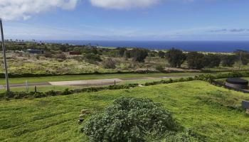 111  Mehana Rd Manawai, Haiku home - photo 3 of 41