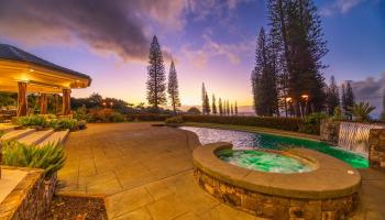 112  Pulelehua St Kapalua, Kapalua home - photo 3 of 50