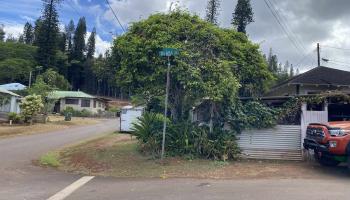1122  Olapa St , Lanai home - photo 2 of 5