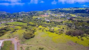 114 Lahaole Pl  Wailuku, Hi vacant land for sale - photo 3 of 30