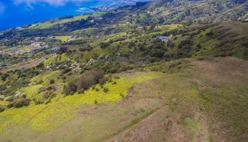 114 Lahaole Pl  Wailuku, Hi vacant land for sale - photo 4 of 30