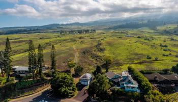 114  Mano Dr , Kula/Ulupalakua/Kanaio home - photo 4 of 50