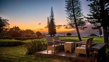 116  Pulelehua St Kapalua,  home - photo 1 of 39