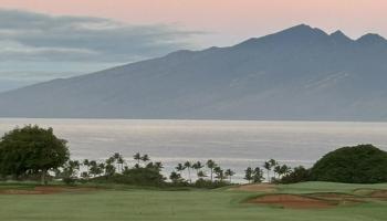 116  Pulelehua St Kapalua, Kapalua home - photo 2 of 39